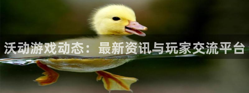 多彩娱乐4主管：沃动游戏动态：最新资讯与玩家交流平台