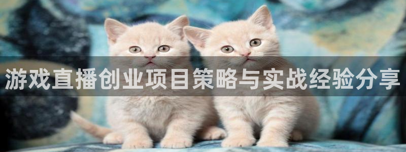 多彩娱乐的意思：游戏直播创业项目策略与实战经验分享