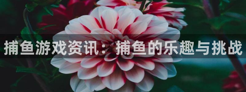 多彩娱乐登录网址：捕鱼游戏资讯：捕鱼的乐趣与挑战