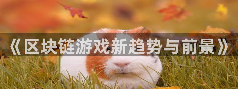 多彩娱乐官网登录：《区块链游戏新趋势与前景》