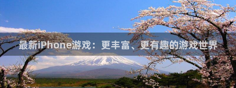 多彩娱乐平台官网入口