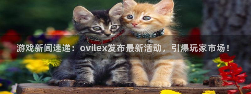 多彩联盟投诉平台