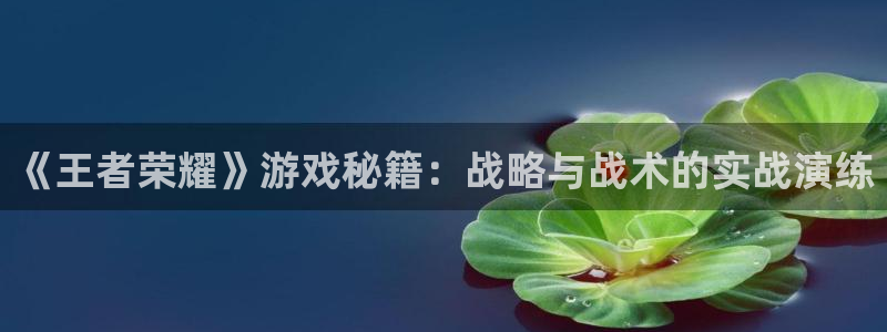 多彩联盟平台