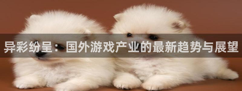 多彩联盟平台1980网站是什么