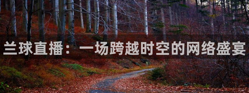 jrs黑白直播体育：兰球直播：一场跨越时空的网络盛宴