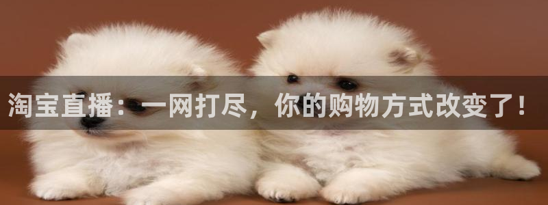 黑白直播体育在线直播：淘宝直播：一网打尽，你的购物方式改变了！