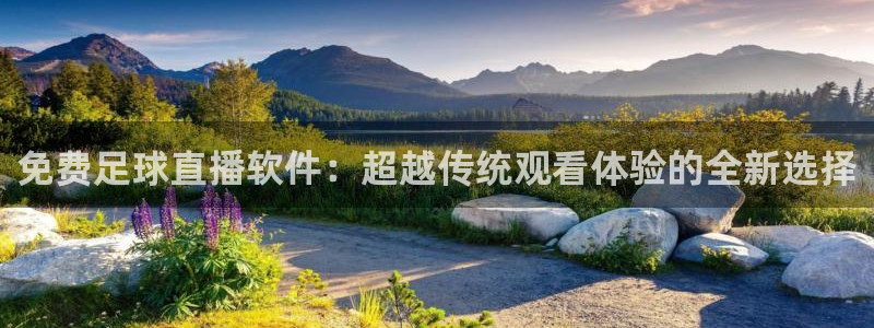 黑白体育比赛在线观看：免费足球直播软件：超越传统观看体验的全新选择