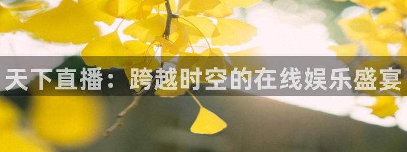 nba直播在线观看免费黑白体育：天下直播：跨越时空的在线娱乐盛宴