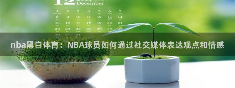 黑白直播体育官网：nba黑白体育：NBA球员如何通过社交媒体表达观点和情感