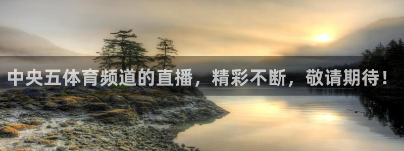 黑白体育直播nba免费观看
