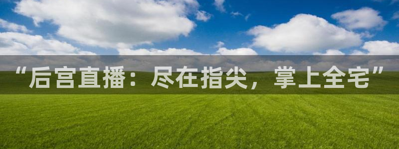 黑白直播免费高清看球神器：“后宫直播：尽在指尖，掌上全宅”