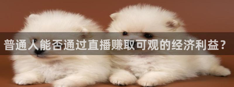 黑白直播nba在线播放：普通人能否通过直播赚取可观的经济利益？
