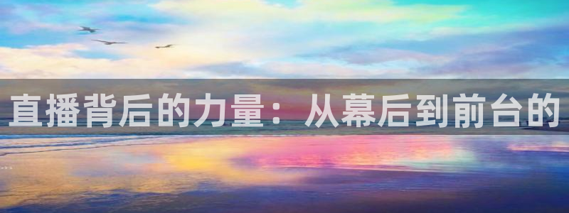 黑白直播体育直播app下载：直播背后的力量：从幕后到前台的