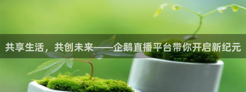 黑白体育英超直播：共享生活，共创未来——企鹅直播平台带你开启新纪元